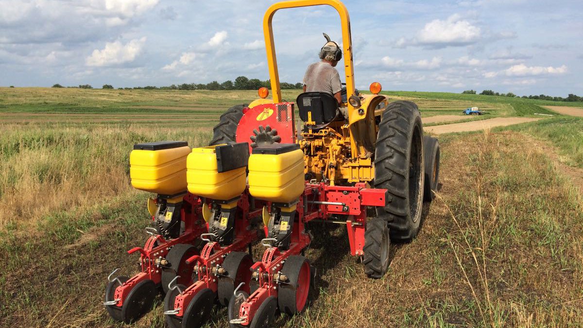 With CA, you avoid repeated ploughing and harrowing.
